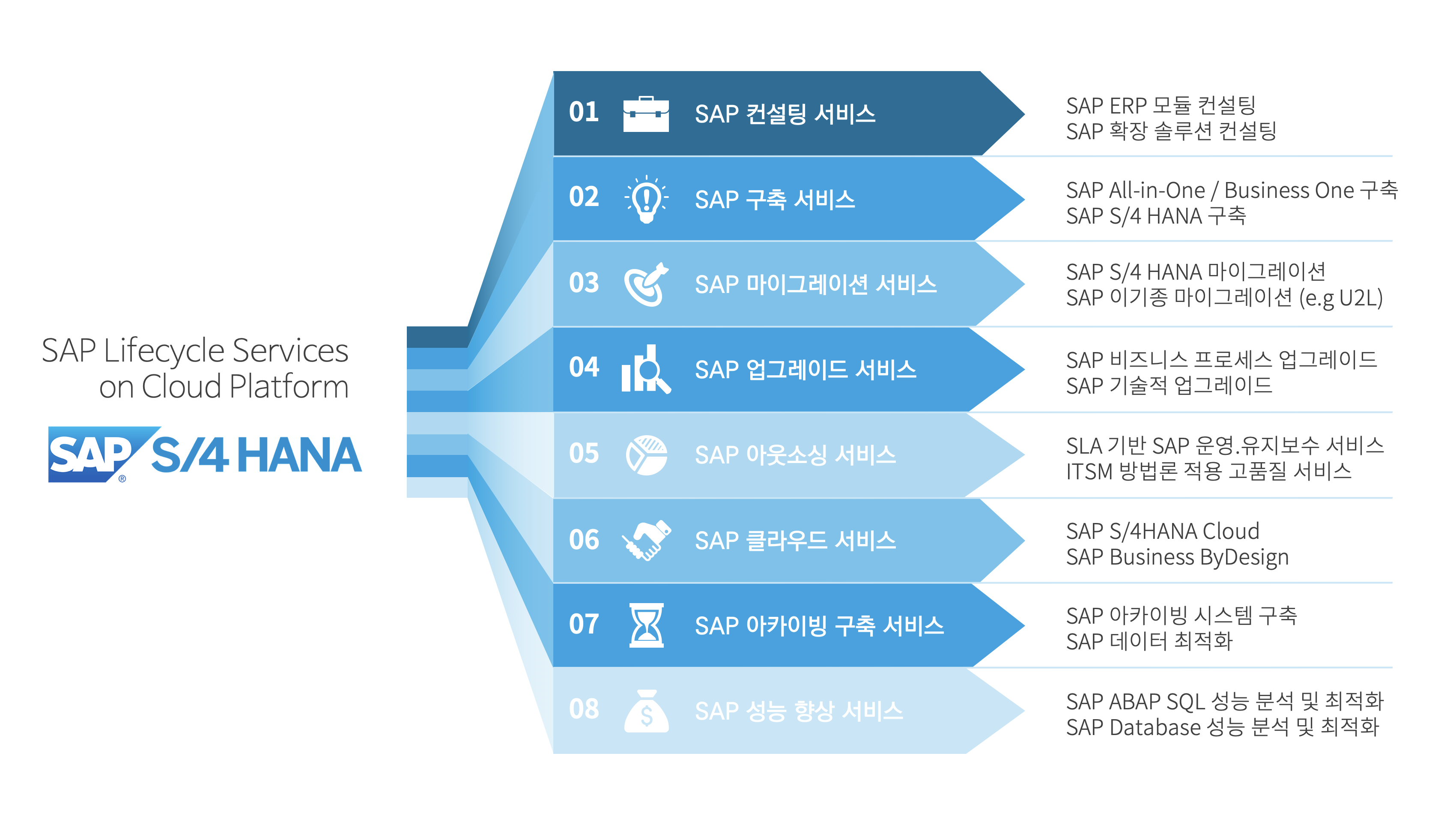 SAP Services by iRichGreen